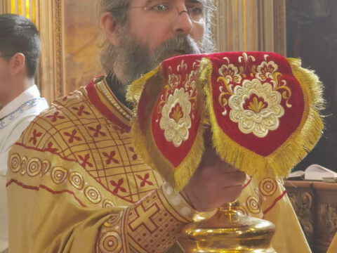 IMG_20230413_111029_resize