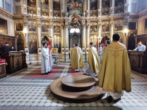 IMG_20230413_111039_resize