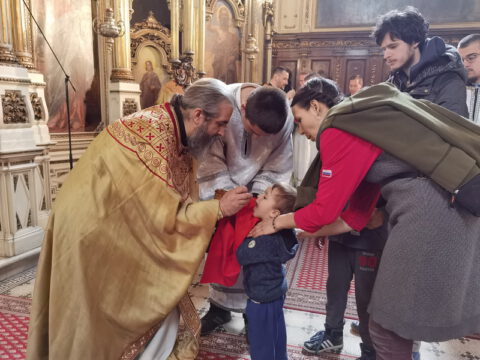 IMG_20230413_115259_resize