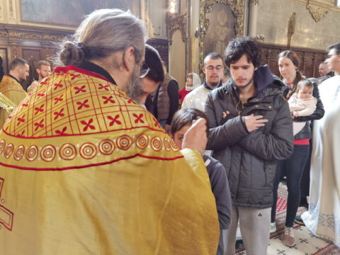 IMG_20230413_115306_resize