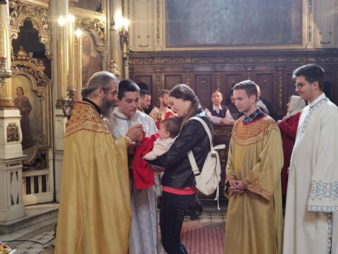 IMG_20230413_115321_resize