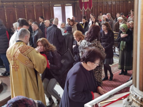 IMG_20230413_115408_resize