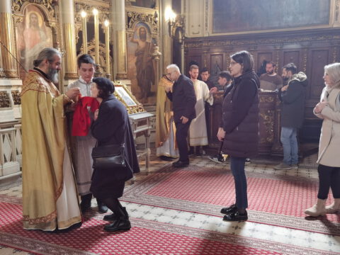 IMG_20230413_115445_resize