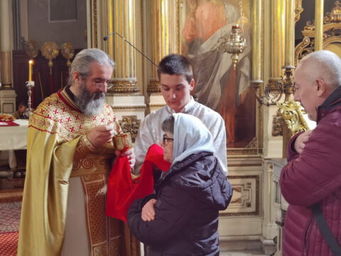 IMG_20230413_115530_resize