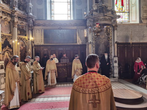 IMG_20230413_120334_resize