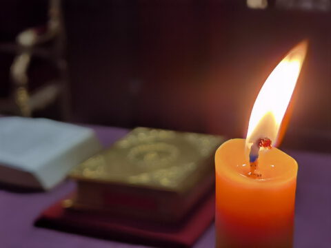 IMG_20230413_182311_resize