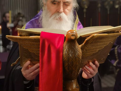 IMG_20230413_205133_resize