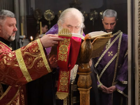 IMG_20230413_205250_resize