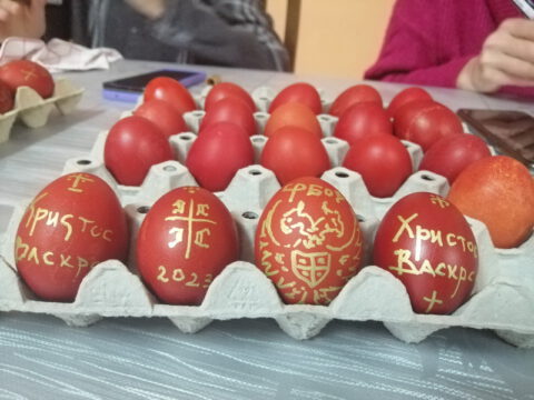 IMG_20230414_132235_resize