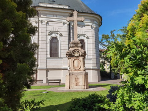 IMG_20230414_152609_resize