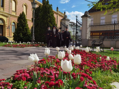 IMG_20230414_152729_resize