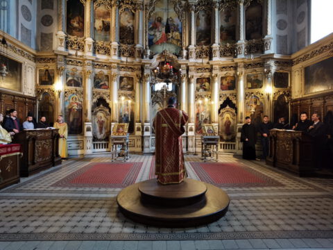 IMG_20230414_153722_resize