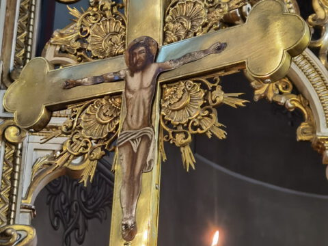 IMG_20230414_154905_resize