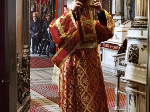 IMG_20230414_155127_resize