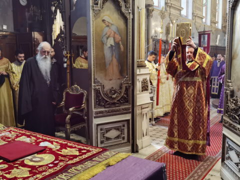 IMG_20230414_155142_resize