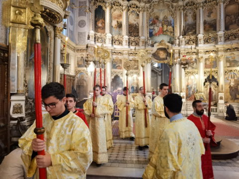 IMG_20230414_162859_resize