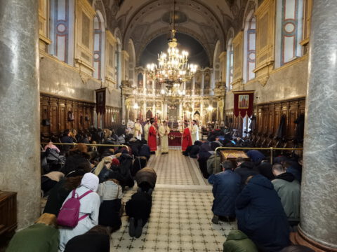 IMG_20230414_162958_resize