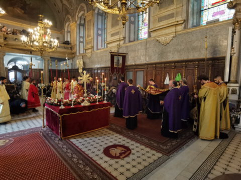 IMG_20230414_163044_resize