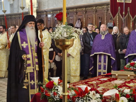 IMG_20230414_163757_resize