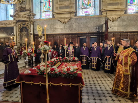 IMG_20230414_163947_resize