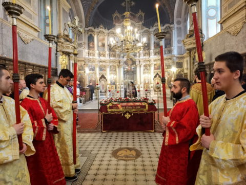 IMG_20230414_164002_resize