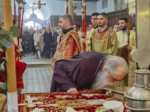 IMG_20230414_164248_resize