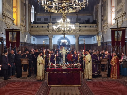 IMG_20230414_195253_resize