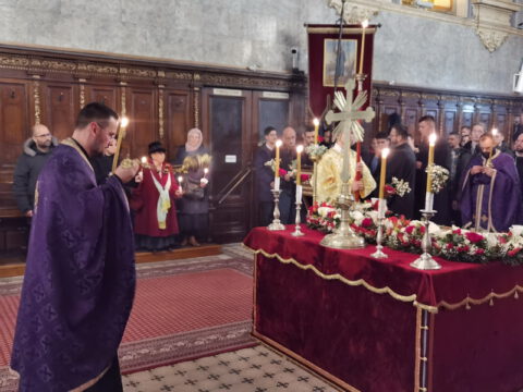 IMG_20230414_201254_resize