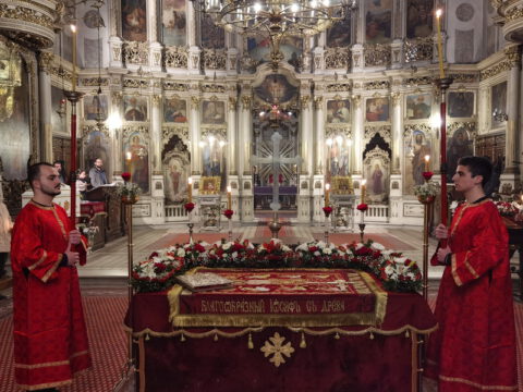 IMG_20230414_203417_resize