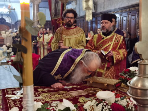 IMG_20230414_213118_resize