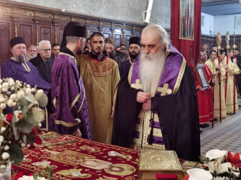 IMG_20230414_213128_resize