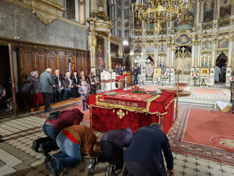 IMG_20230415_234510_resize