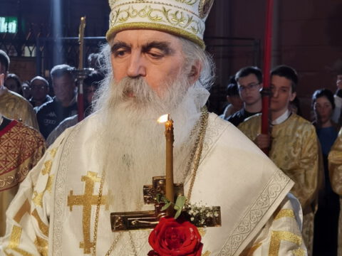 IMG_20230416_002825_resize