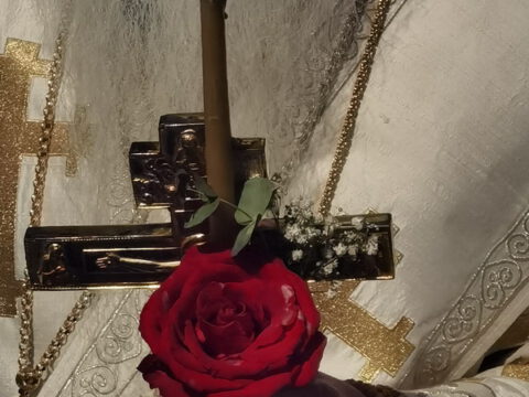 IMG_20230416_003127_resize