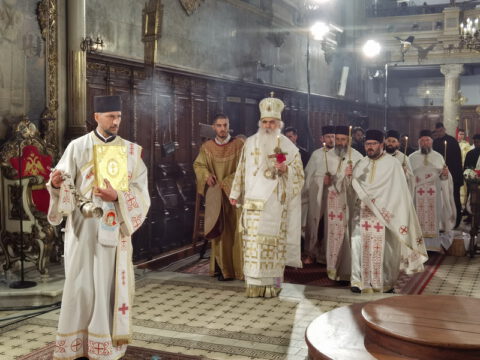 IMG_20230416_003357_resize