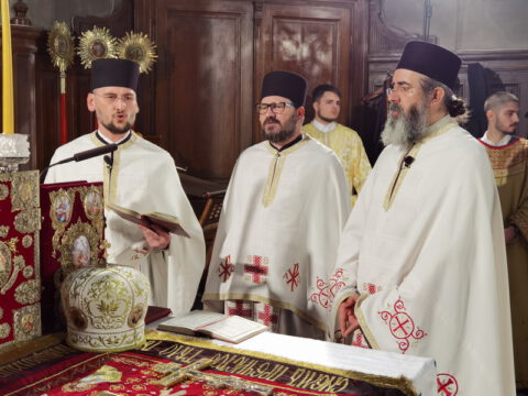 IMG_20230416_004846_resize