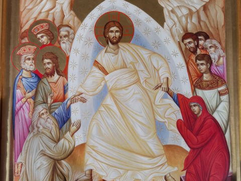 IMG_20230416_012032_resize