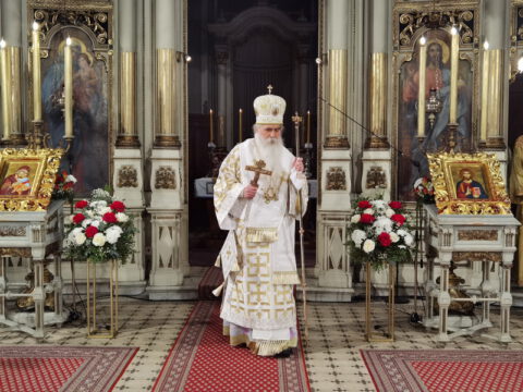 IMG_20230416_012228_resize