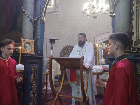 IMG_20230416_014613_resize