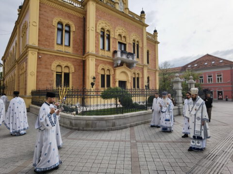 IMG_20230416_085422_resize