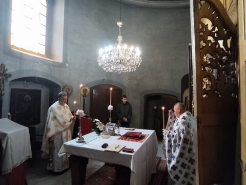 IMG_20230416_090436_resize_resize