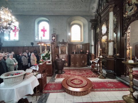 IMG_20230416_091706_resize_resize