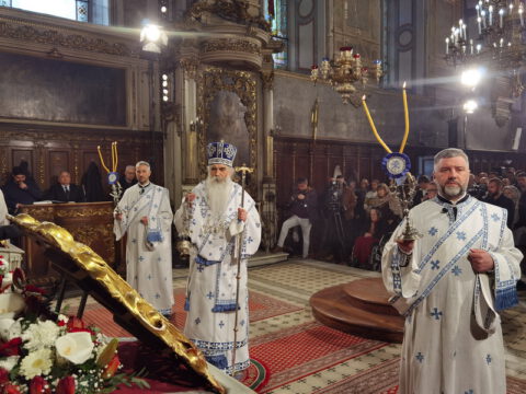 IMG_20230416_092946_resize