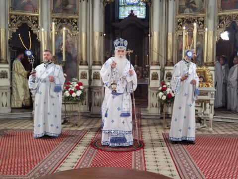 IMG_20230416_093028_resize