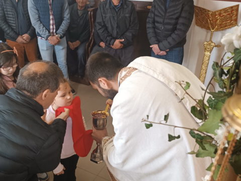 IMG_20230416_101823 - Copy_resize