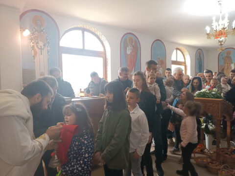 IMG_20230416_101856_resize