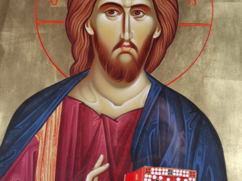 IMG_20230416_112251_resize