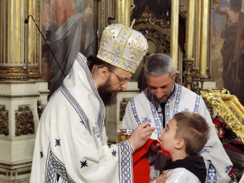 IMG_20230416_112328_resize