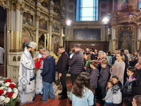 IMG_20230416_112334_resize