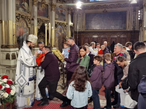 IMG_20230416_112344_resize